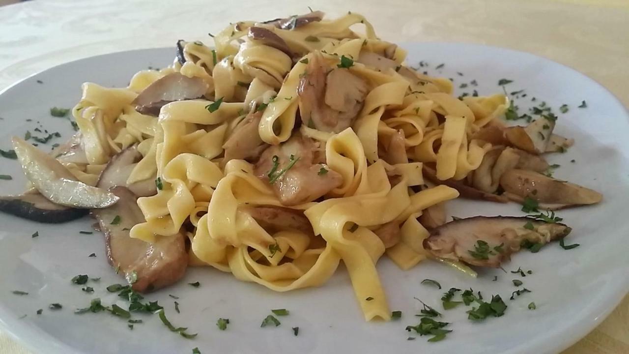 לינה וארוחת בוקר Vattaro Botton D'Oro Delle Dolomiti מראה חיצוני תמונה
