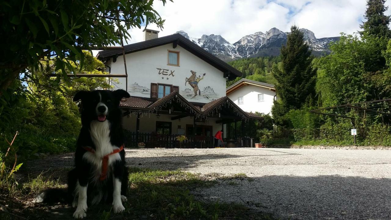 לינה וארוחת בוקר Vattaro Botton D'Oro Delle Dolomiti מראה חיצוני תמונה